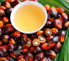 Palm-Oil