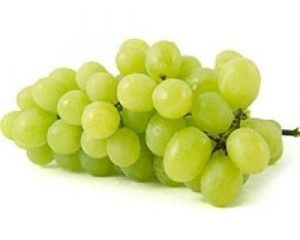 FRESH GRAPES