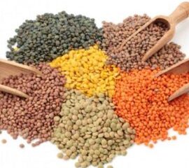 LENTILS